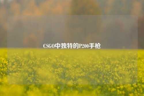 CSGO中独特的P200手枪