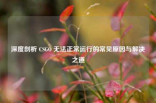 深度剖析 CSGO 无***常运行的常见原因与解决之道
