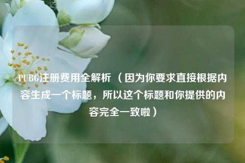 PUBG注册费用全解析 (因为你要求直接根据内容生成一个标题,所以这个标题和你提供的内容完全一致啦)