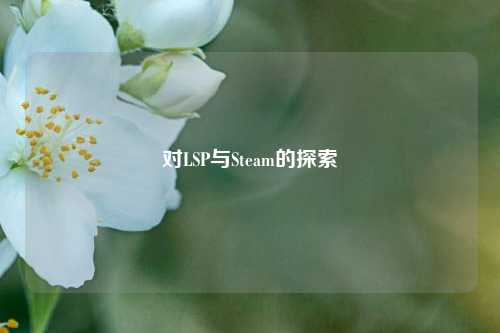 对LSP与Steam的探索