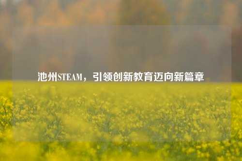 池州STEAM，引领创新教育迈向新篇章
