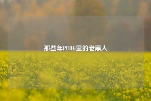 那些年PUBG里的老黑人