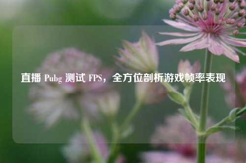 直播 Pubg 测试 FPS,全方位剖析游戏帧率表现