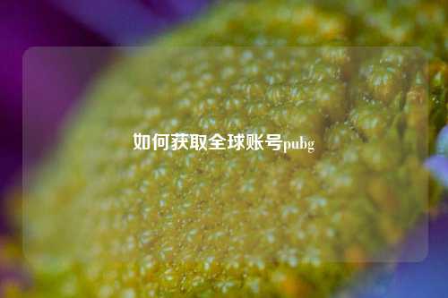 如何获取全球账号pubg