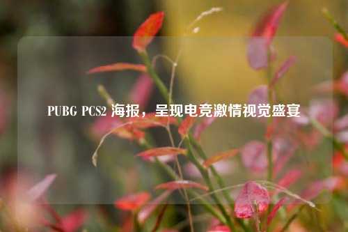 PUBG PCS2 海报，呈现电竞***视觉盛宴