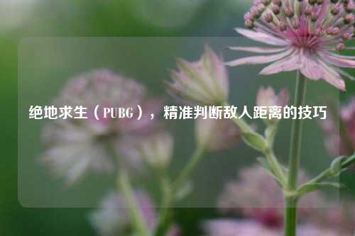 绝地求生(PUBG),精准判断敌人距离的技巧