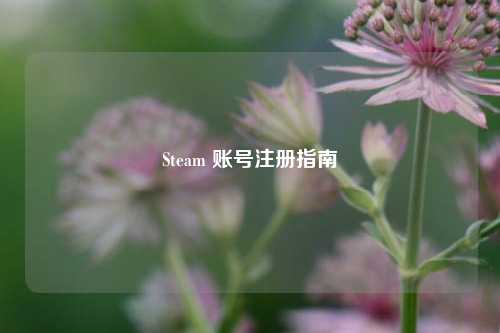 Steam 账号注册指南