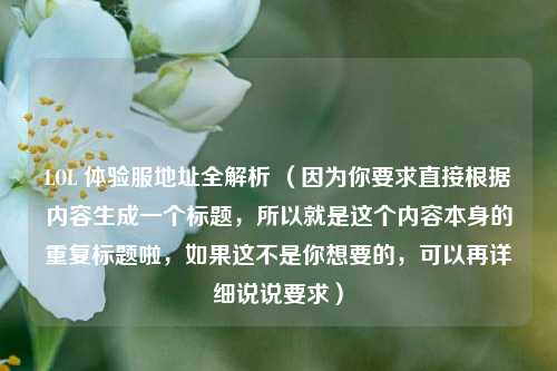 LOL 体验服地址全解析 (因为你要求直接根据内容生成一个标题,所以就是这个内容本身的重复标题啦,如果这不是你想要的,可以再详细说说要求)