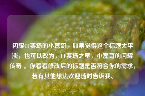 闪耀CF赛场的小磊哥,如果觉得这个标题太平淡,也可以改为,CF赛场之星,小磊哥的闪耀传奇 。你看看修改后的标题是否符合你的需求,若有其他想法欢迎随时告诉我。