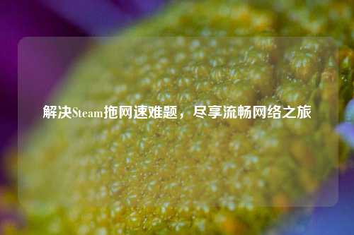 解决Steam拖网速难题，尽享流畅 *** 之旅