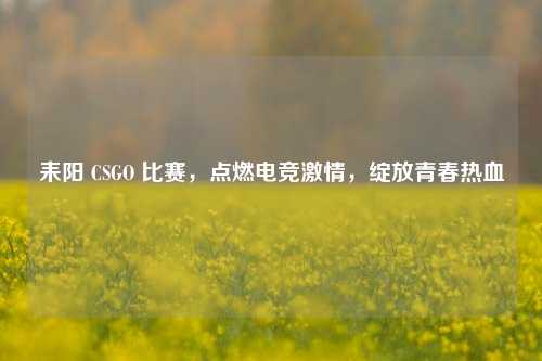 耒阳 CSGO 比赛,点燃电竞***,绽放青春热血