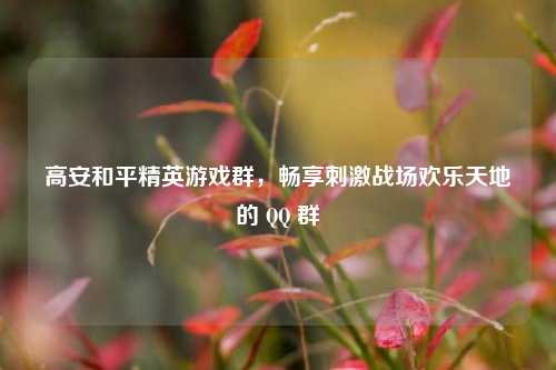 高安和平精英游戏群，畅享***战场欢乐天地的  ***  群