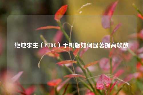 绝地求生（PUBG）手机版如何显著提高帧数