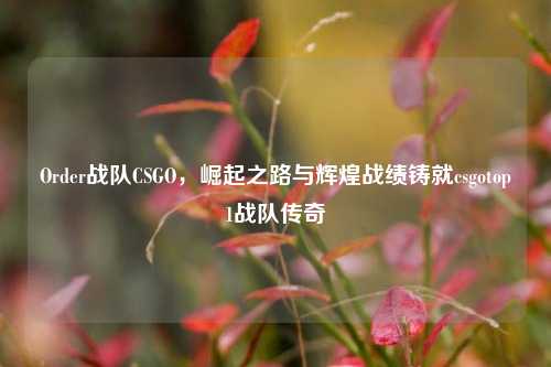 Order战队CSGO，崛起之路与辉煌战绩铸就csgotop1战队传奇