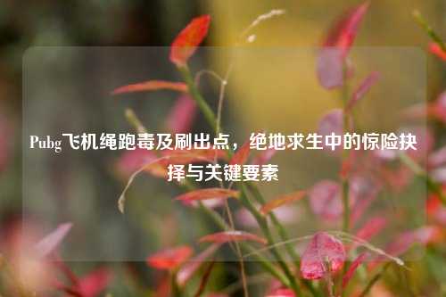 Pubg飞机绳跑毒及刷出点，绝地求生中的惊险抉择与关键要素