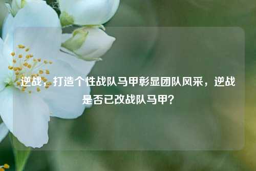 逆战,打造个性战队马甲彰显团队风采,逆战是否已改战队马甲?