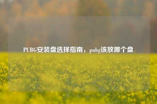 PUBG安装盘选择指南，pubg该放哪个盘