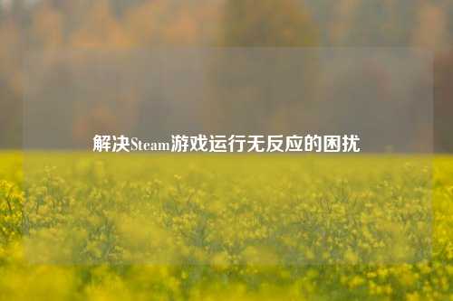 解决Steam游戏运行无反应的困扰