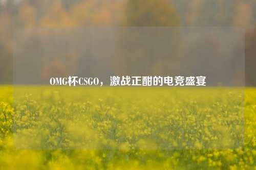 OMG杯CSGO,激战正酣的电竞盛宴