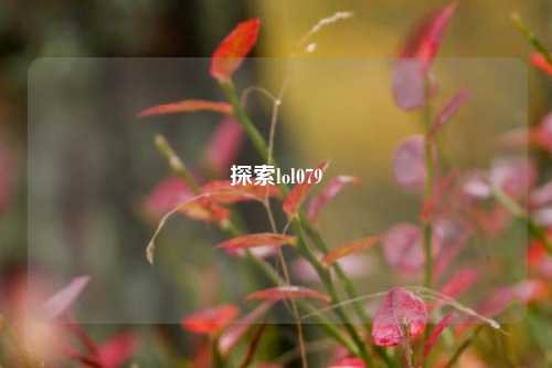 探索lol079