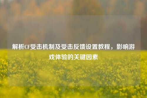 解析CF受击机制及受击反馈设置教程,影响游戏体验的关键因素