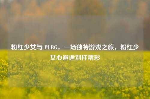 粉红少女与 PUBG，一场独特游戏之旅，粉红少女心邂逅别样精彩