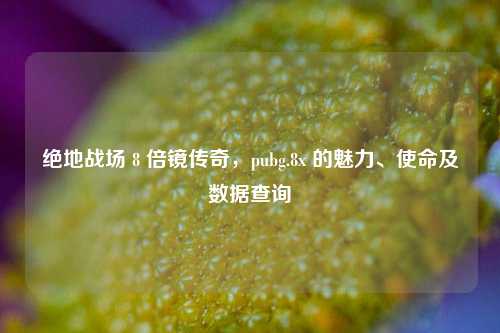 绝地战场 8 倍镜传奇,pubg.8x 的魅力、使命及数据查询
