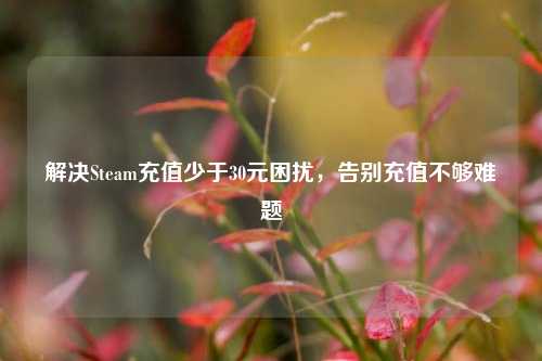 解决Steam充值少于30元困扰,告别充值不够难题