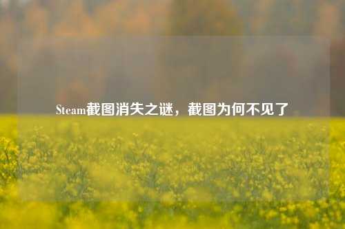 Steam截图消失之谜,截图为何不见了