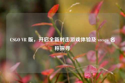 CSGO VR 版,开启全新射击游戏体验及 vrcsgo 名称探寻