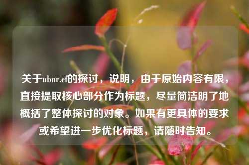 关于ubnr.cf的探讨，说明，由于原始内容有限，直接提取核心部分作为标题，尽量简洁明了地概括了整体探讨的对象。如果有更具体的要求或希望进一步优化标题，请随时告知。