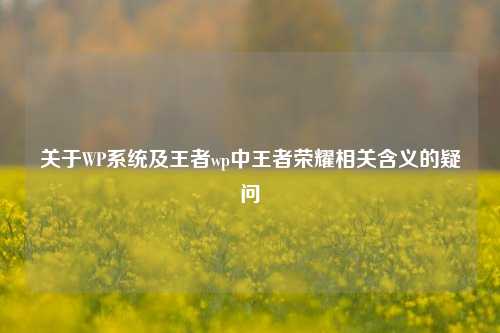 关于WP系统及王者wp中王者荣耀相关含义的疑问
