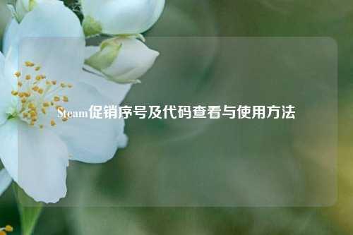 Steam促销序号及代码查看与使用 ***