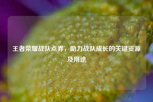 王者荣耀战队点券,助力战队成长的关键资源及用途