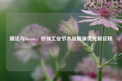 膜法与Steam，引领工业节水及能源优化新征程