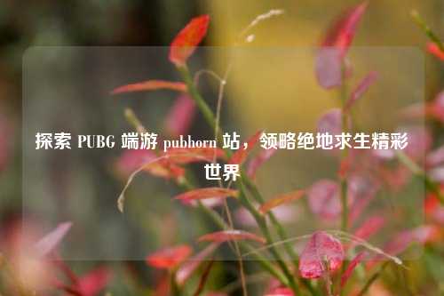 探索 PUBG 端游 pubhorn 站,领略绝地求生精彩世界