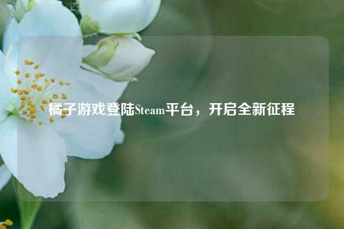 橘子游戏登陆Steam平台，开启全新征程