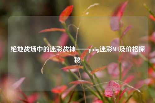 绝地战场中的迷彩战神——pubg迷彩M4及价格探秘