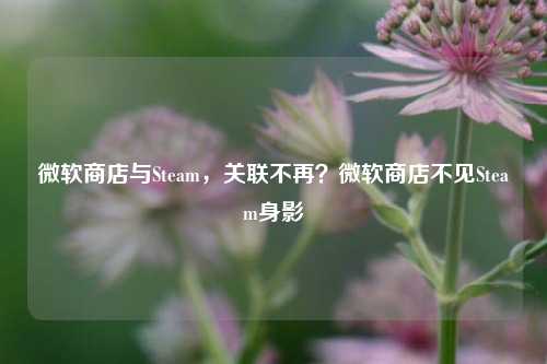 微软商店与Steam，关联不再？微软商店不见Steam身影