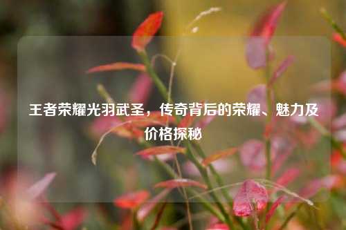 王者荣耀光羽武圣，传奇背后的荣耀、魅力及价格探秘