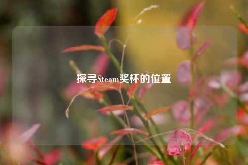 探寻Steam奖杯的位置