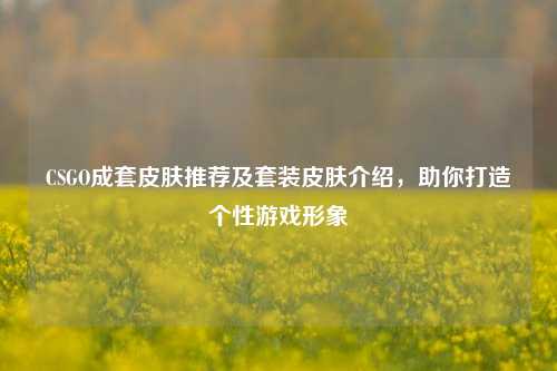 CSGO成套皮肤推荐及套装皮肤介绍,助你打造个性游戏形象