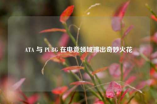 ATA 与 PUBG 在电竞领域擦出奇妙火花