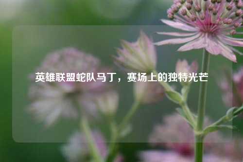 英雄联盟蛇队马丁，赛场上的独特光芒