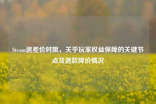Steam退差价时限,关乎玩家权益保障的关键节点及退款降价情况