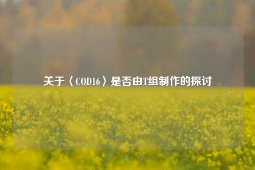 关于〈COD16〉是否由T组 *** 的探讨