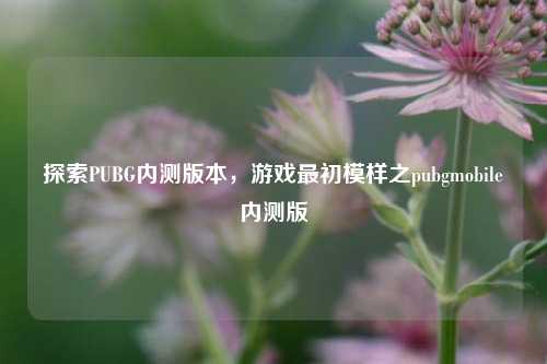 探索PUBG内测版本,游戏最初模样之pubgmobile内测版