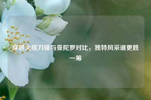 穿越火线刀锋与曼陀罗对比,独特风采谁更胜一筹