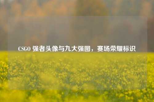 CSGO 强者头像与九大强图,赛场荣耀标识