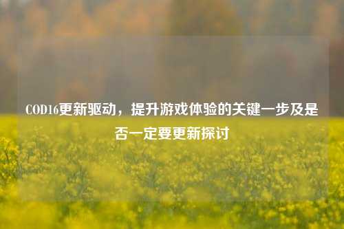 COD16更新驱动,提升游戏体验的关键一步及是否一定要更新探讨